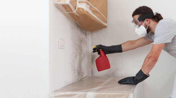Professional Bathroom Mold Removal technician working in Villa Park, IL