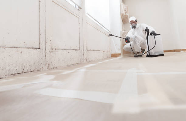 24/7 Emergency Bathroom Mold Removal experts in Villa Park, IL